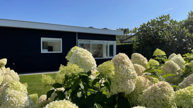 Wintergroen 11 · Vakantiehuis in Julianadorp foto 1